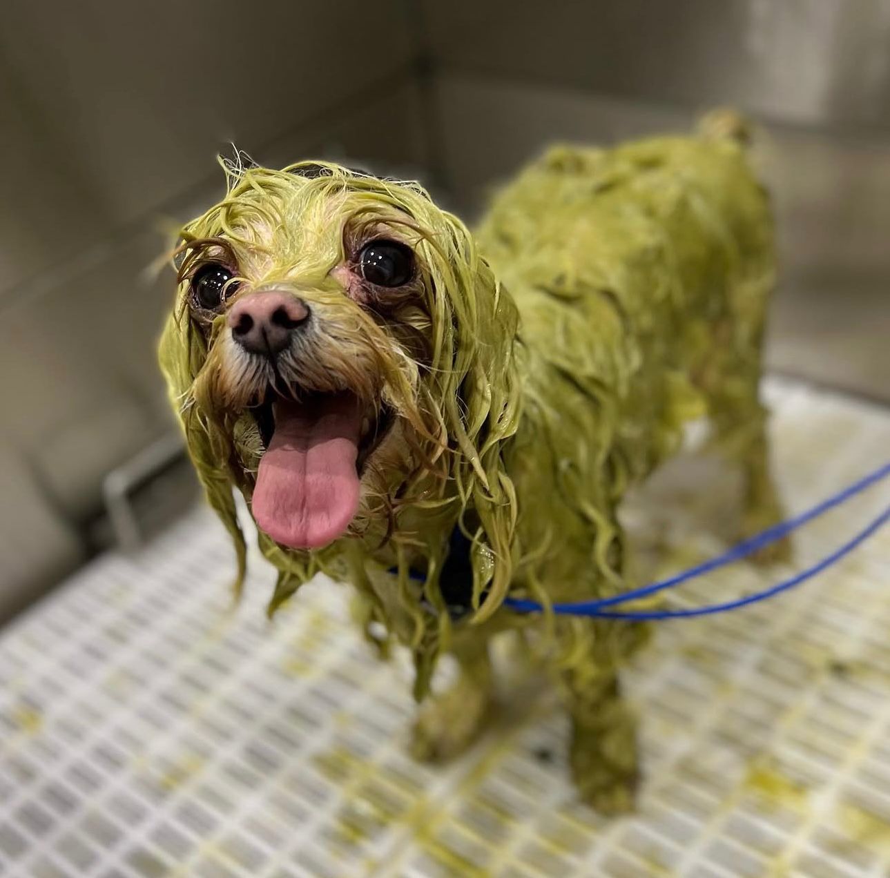 Spa Treatments